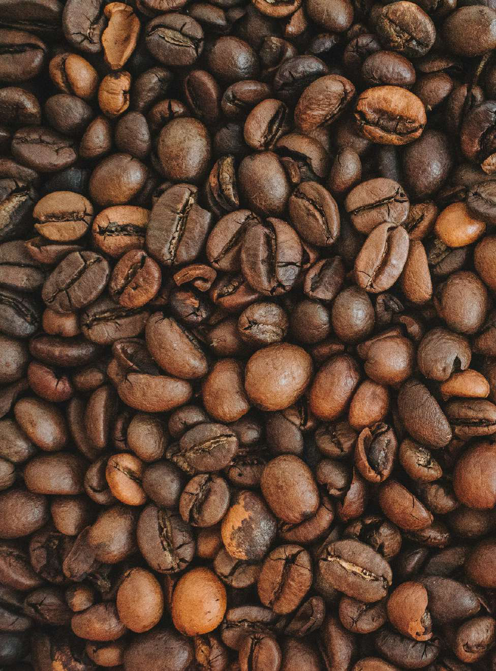 Freshly roasted coffee beans